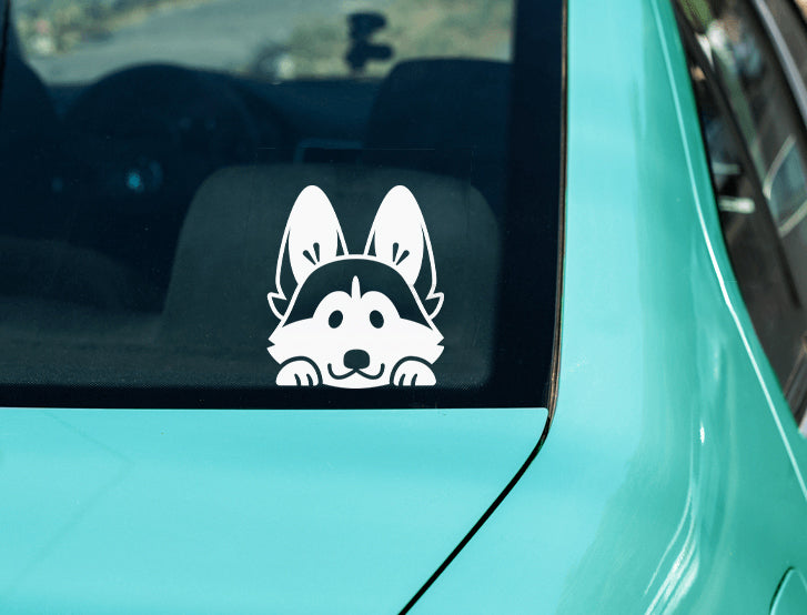 Peeking Husky Vinyl Decal