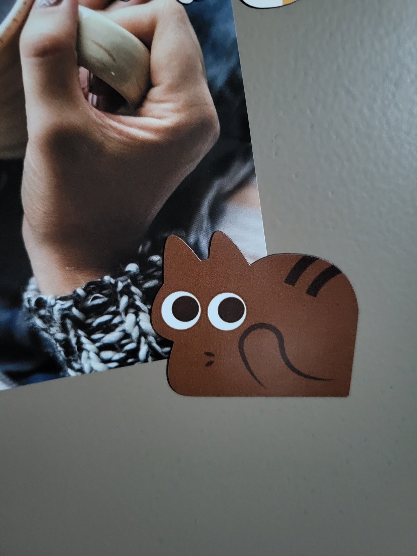 Brown Tabby Cat Mini Magnet Set