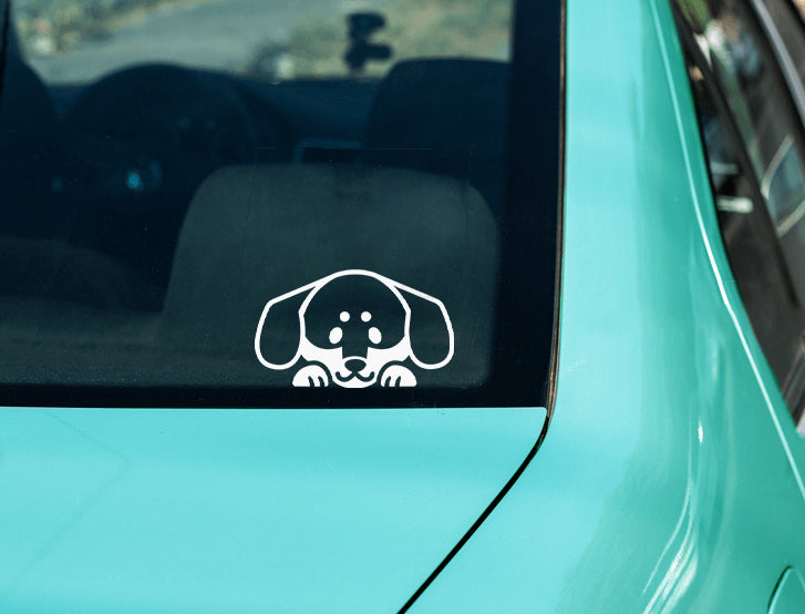 Peeking Dachshund Vinyl Decal